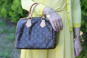 Louis Vuitton Speedy 25 monogram, Fashion and Cookies