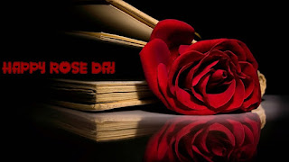 Rose day images, rose day wallpapers, rose day sms, rose day hd wallpapers, rose day 2016, rose day pics