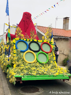 fête mimosa Saint-Trojan-les-Bains (17)