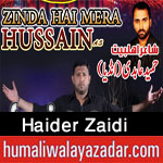 http://www.humaliwalayazadar.com/2017/10/haider-zaidi-nohay-2018.html