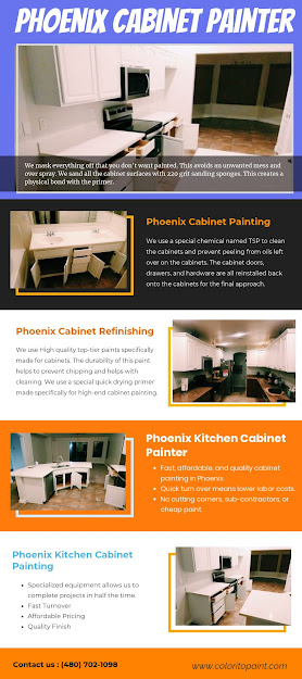 Phoenix Cabinet Painter