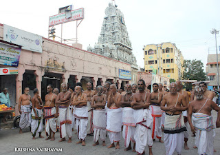 Ekadesi,Vaigasi, Purappadu,Video, Divya Prabhandam,Sri Parthasarathy Perumal, Triplicane,Thiruvallikeni,Utsavam,