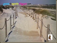 Gazeta de Espinho003-20150316
