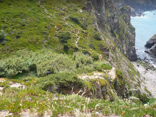 Sentiero che scende dalla scogliera di Cabo da Roca