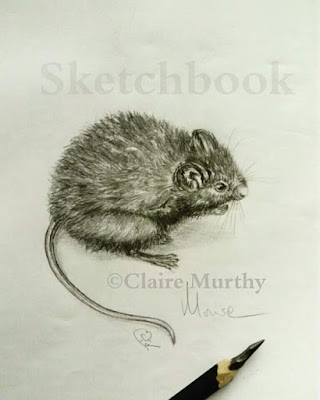 Wildlife drawing and sketching