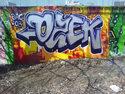2008_ozek_DSC01204