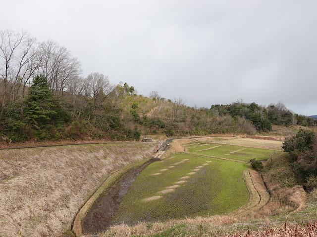 グリーンパーク大山ゴルフ倶楽部の近くの田畑