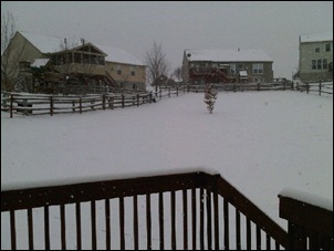 View of our snow covered backyard