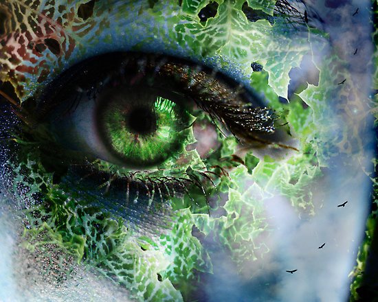 Fractal Eye | Art Wallpaper