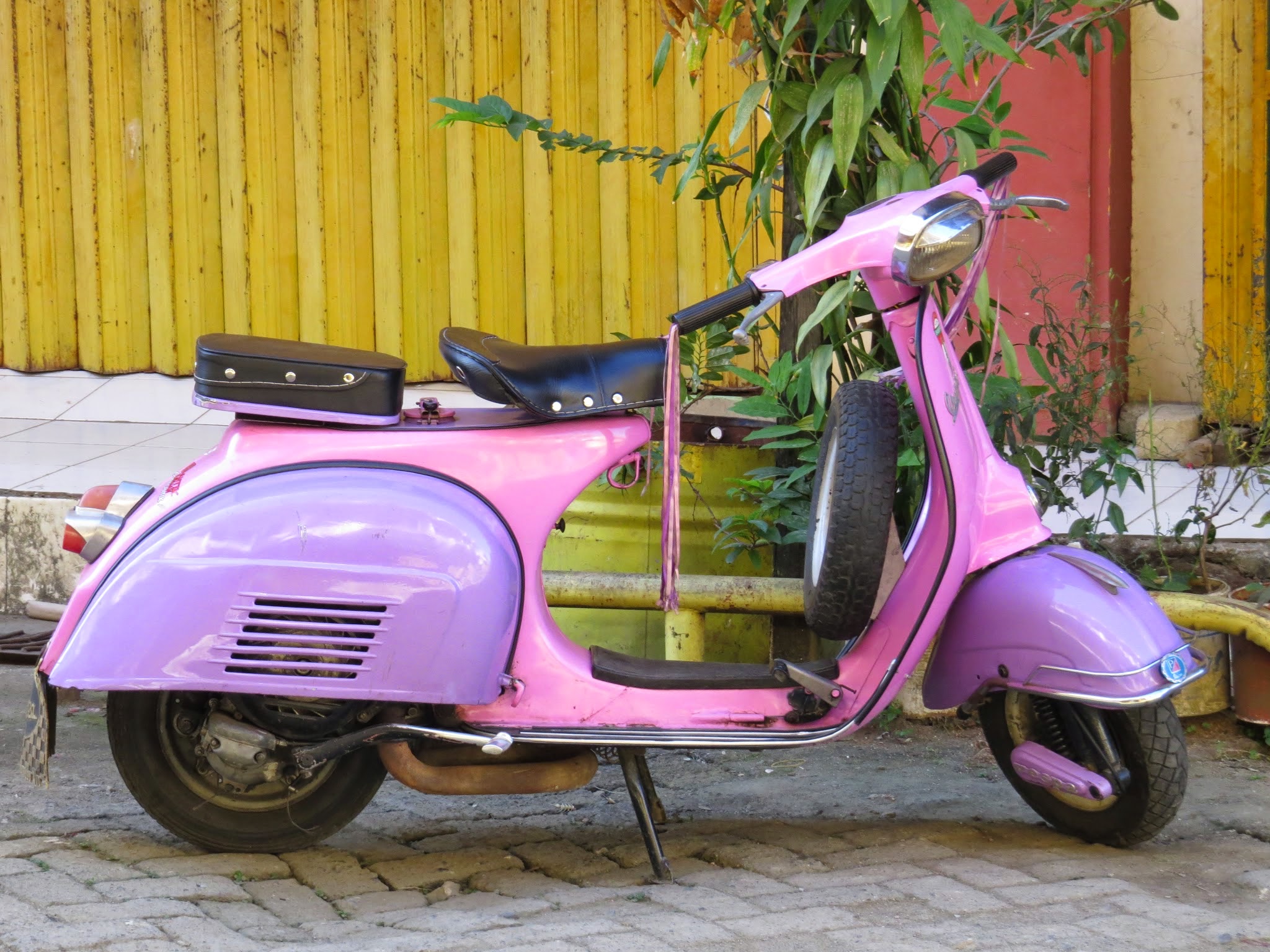 Vespa Tua Merah Jambu