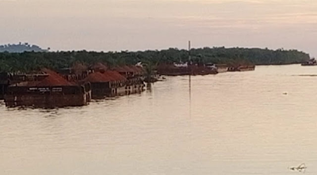 Tongkang Sewaan Sandar Di Pohon Nipah.