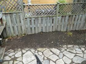 Leslieville Toronto Fall Cleanup After by Paul Jung Gardening Services--a Toronto Organic Gardening Services Company
