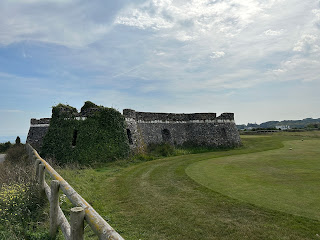 A view of the Arx Ruochim folly showing one of the turret type structures covered in ivy.  Photo by Kevin Nosferatu for the Skulferatu Project.