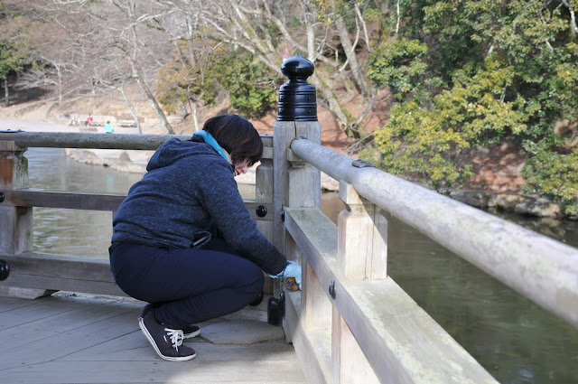 奈良公園で清掃活動