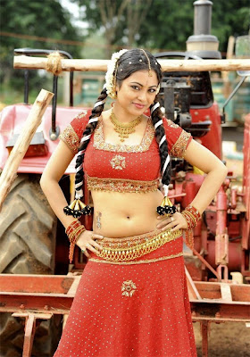 Meenakshi,  meenakshi actress, Meenakshi actress navel, Meenakshi boobs, Meenakshi hot, Meenakshi images, meenakshi sexy pics, Meenakshi wet gallery, 