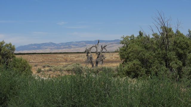 Day 12 - Sierra to Pacific (CA 198, US 101, Pacific Coast Highway)