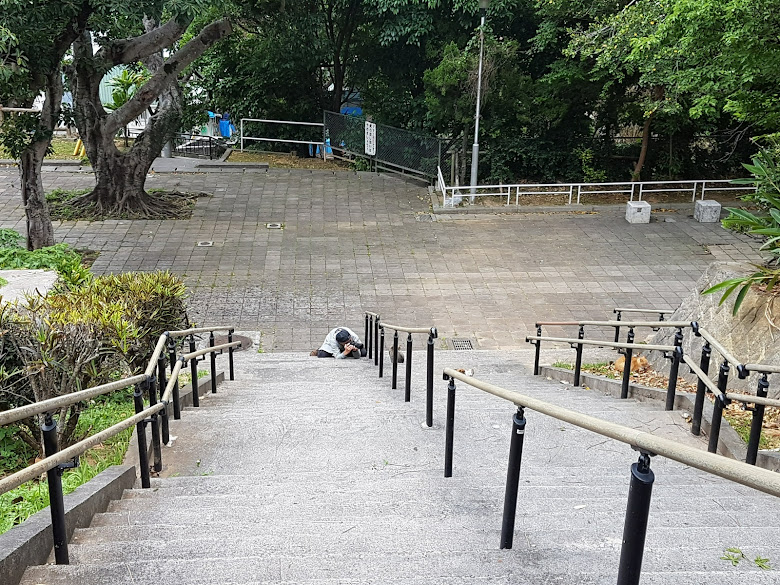 公園內景，攝影師趴在那裡拍貓呢