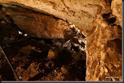 Engelbrecht Cave Mt Gambier