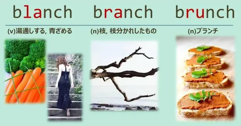 blanch, branch, brunch, スペルが似ている英単語