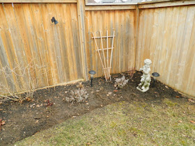 Leaside Spring Cleanup After by Paul Jung Gardening Services--a Toronto Organic Gardening Company