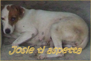 Cerca casa