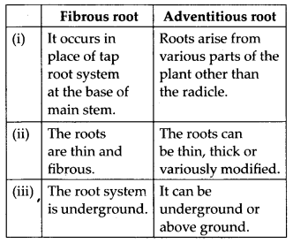 Solutions Class 11 Biology Chapter -5 (Morphology of Flowering Plants)