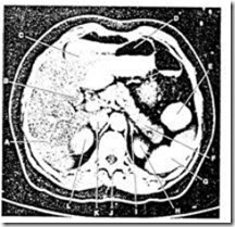 pemeriksaan radiology