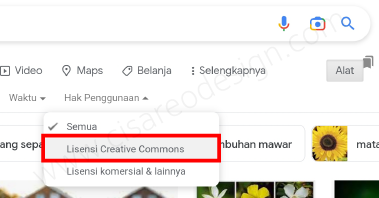 Cara Download Gambar Tanpa Hak Cipta (No Copyright) di Google