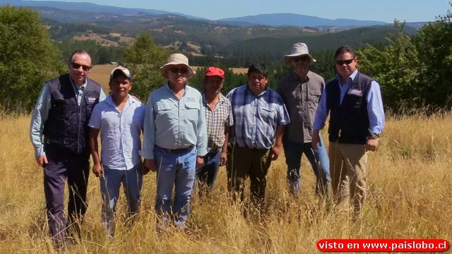 INDAP realiza visita técnica a predios de comunidades Mapuche Huilliche