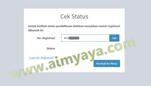  Gambar: Cek Status Nomor Registrasi 