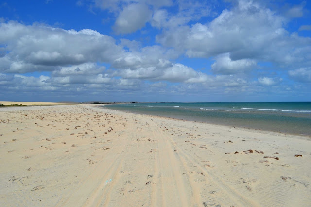 Brésil, Jericoacoara, buggy, hippocampe, dune, tatajuba, mangue seco