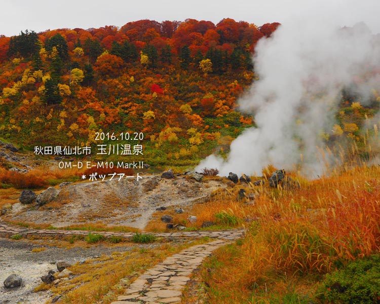 玉川温泉の散策路