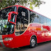 Lapizco Tours