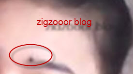 zigzoor blog