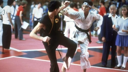 Karate Kid, el momento de la verdad 1984 en español latino