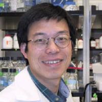 Yi Zhang, Ph.D., Howard Hughes Medical Institute investigator, professor of biochemistry and biophysics, University of North Carolina at Chapel Hill. Credit: University of North Carolina at Chapel Hill.