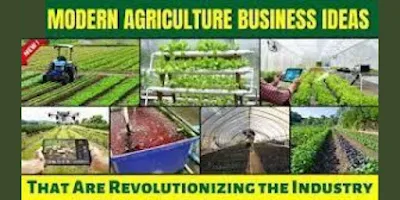 Business Insights for Modern Agriculture