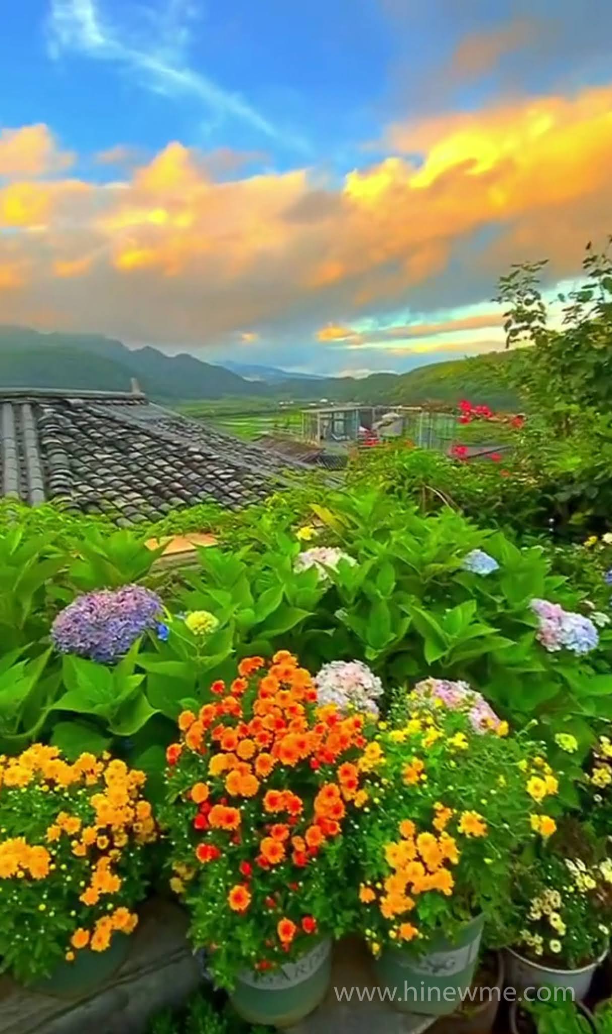 28 flower landscape photograph pictures, 6Flowers photography skill tips