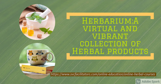Are you looking for classes or topic-specific herbal workshops?