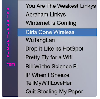 funny wifi names puns