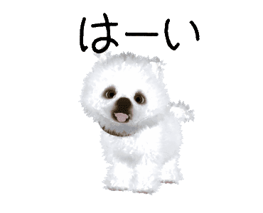 Line クリエイターズスタンプ 動く ポメラニアンの子 白ver Example With Gif Animation Line クリエイターズスタンプ 動く ポメラニアンの子 白ver Example With Gif Animation