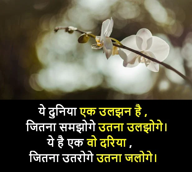 latest shayari photo, latest shayari photos download