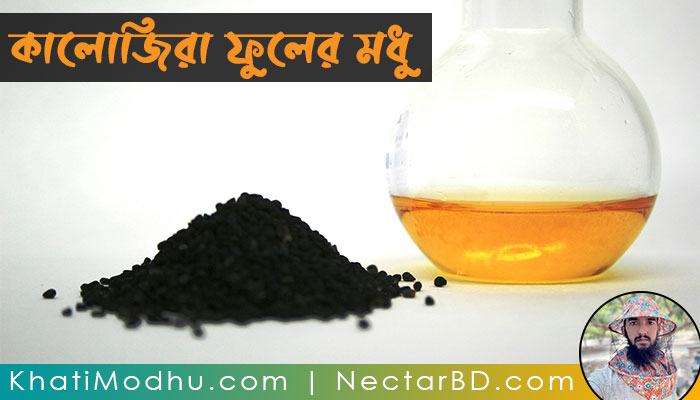 কালোজিরা ফুলের মধু, Black Seed Honey, খাঁটি মধু, khati modhu