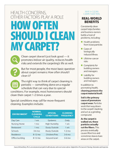 How Often Should I Clean My Carpets?