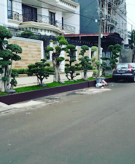 taman klasik minimalis