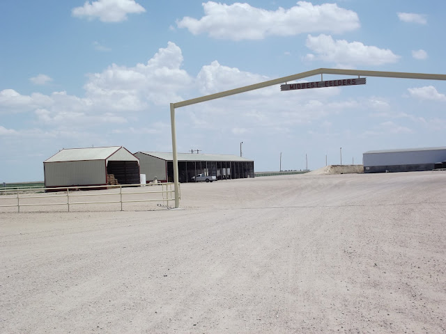 storage sheds repair