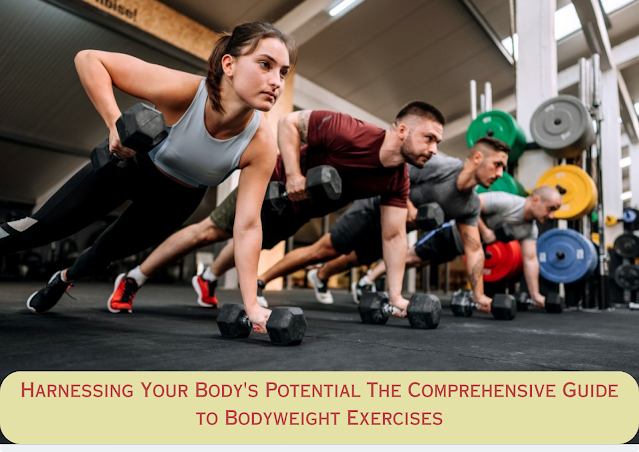 Harnessing Your Body's Potential The Comprehensive Guide to Bodyweight Exercises