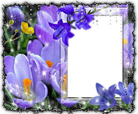 free beautiful photo frames