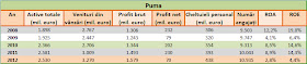 Evoluția indicatorilor de activitate la Puma