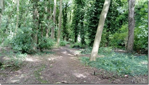 2 woodland walk